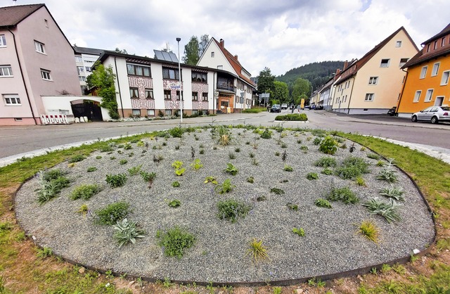 Die Pflanzflche des Kreisverkehrs Ringstrae    | Foto: Peter Stellmach