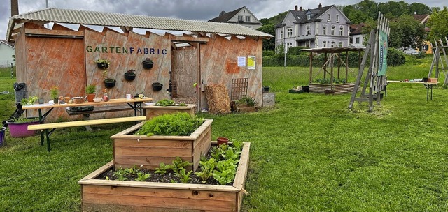 Der Garten auf dem Fabric-Areal in Bro... der Workshops der Schpflin-Stiftung.  | Foto: Olivia Feldheim