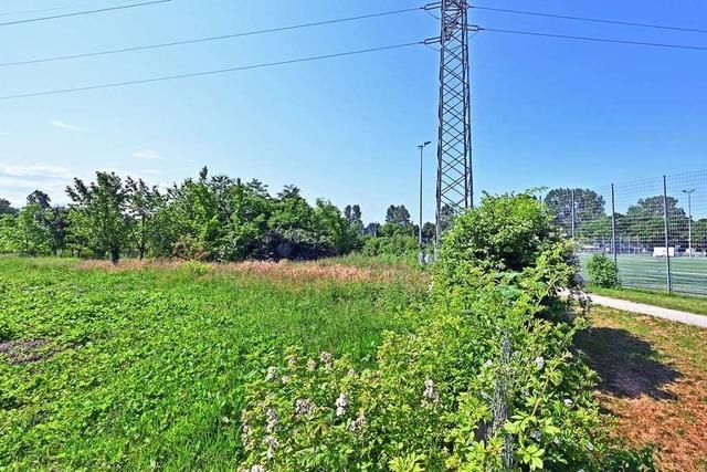 Wird die Freiburgs Kulturtram im Dietenbachpark aufgestellt?