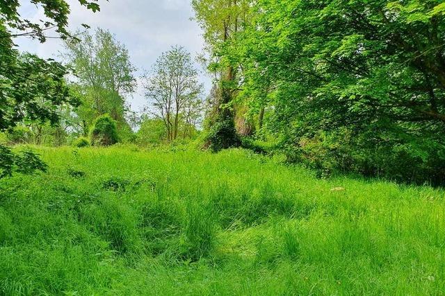 Kali-Absetzbecken in Griheim: Ministerium sieht keine Gefahr fr das Grundwasser