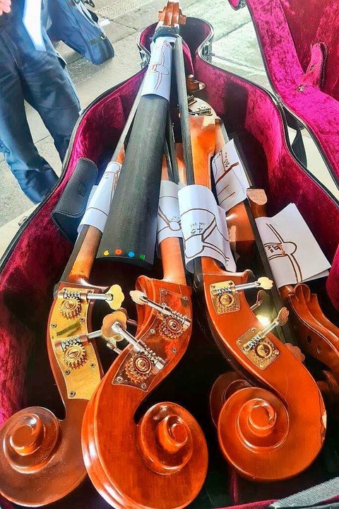 Teure Teile von Streichinstrumenten en...inem Kofferraum am Grenzübergang Weil.  | Foto: Hauptzollamt Lörrach