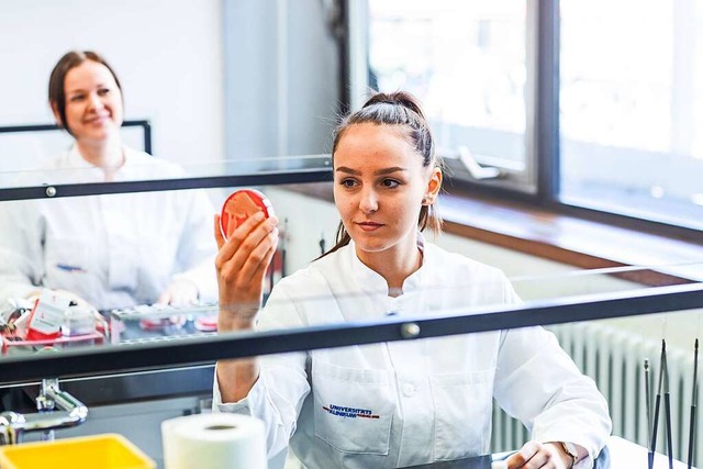 Auch die Mitarbeit im Labor ist bei ei...ktor  am Uniklinikum Freiburg mglich.  | Foto: Britt Schilling