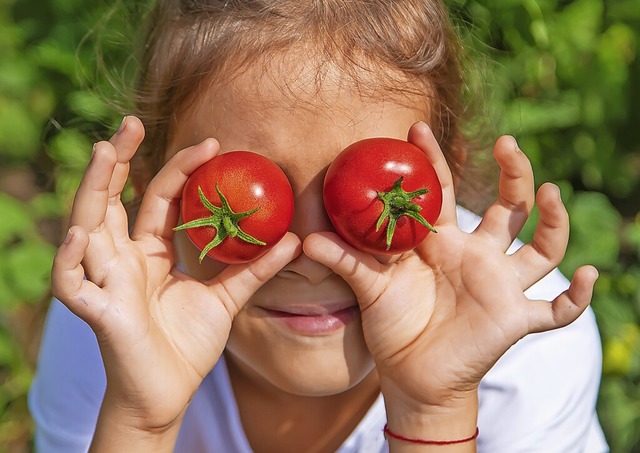 Prima Tomaten auf den Augen: Gemse au...eigenen Garten ist umweltfreundlicher.  | Foto: TATEVOSIAN YANA
