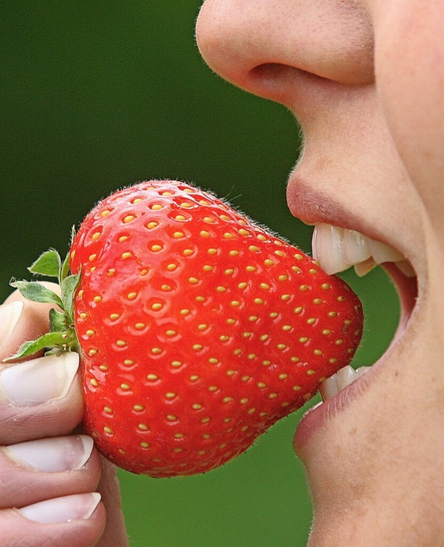 Zum Reinbeien und Einmachen gut: Erdbeeren schmecken immer.  | Foto: Roland Weihrauch