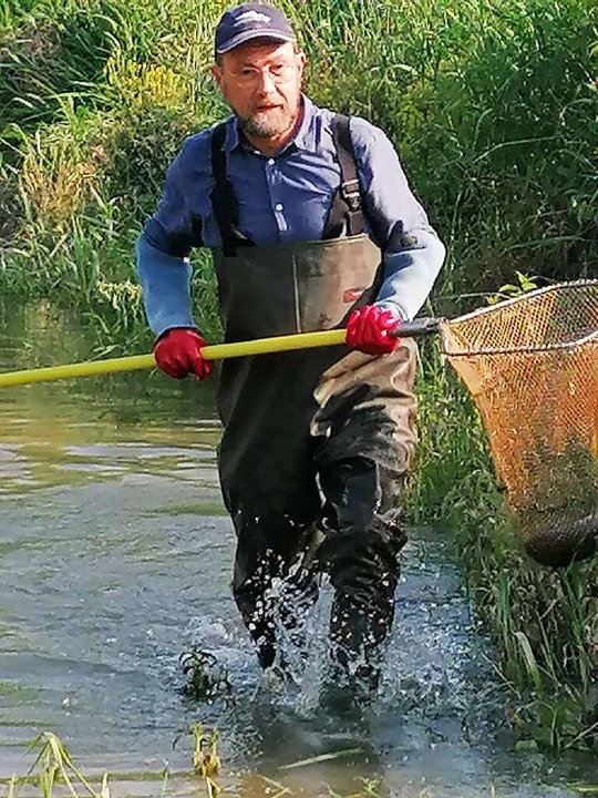 Ingo Kramer beim Elektrofischen  | Foto: Anglerverein Neuenburg