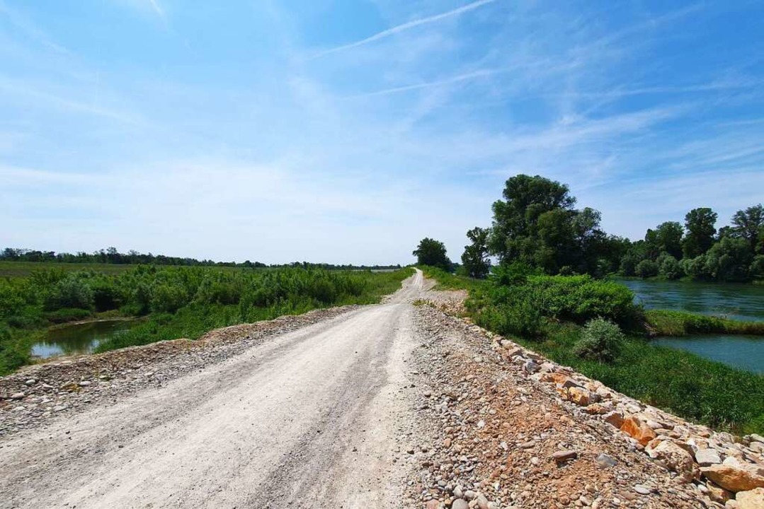Der Weg zwischen Rhein (rechts) und de...il-Breisach wird der Weg zurckgebaut.  | Foto: Hannes Selz