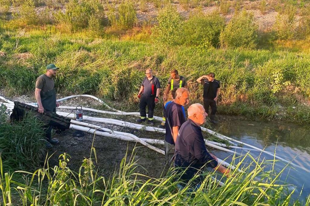 Die Neuenburger Feuerwehr beim Versuch, das Wasser im kleinen Tmpel abzupumpen  | Foto: Anglerverein Neuenburg