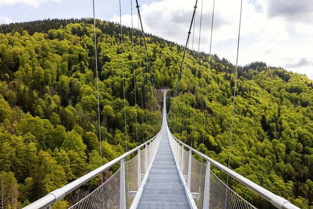 Die neue Hängebrücke über die Todtnauer Wasserfälle wird gut angenommen.  | Foto: Philipp von Ditfurth (dpa)