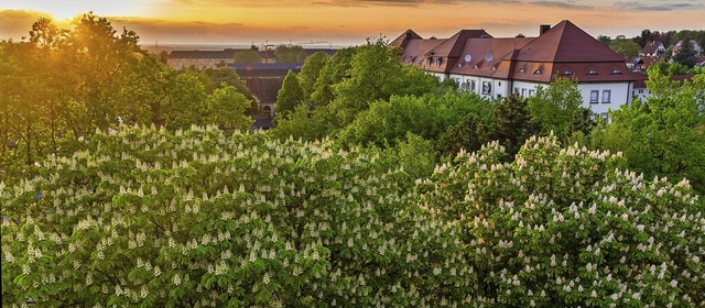 Mllheim ist eine grne Stadt &#8211; ...inschaft Umweltschutz Markgrflerland.  | Foto: Alexander Huber