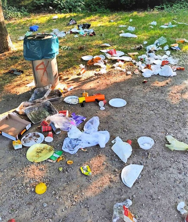 Eine echte Sauerei: Das Gelnde der La...eraturen stellenweise einer Mllkippe.  | Foto: Mirko Bhr / Stadtverwaltung