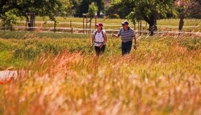 Bei sommerlichen Temperaturen waren di...hmer in und um Grafenhausen unterwegs.  | Foto: Sandra Decoux