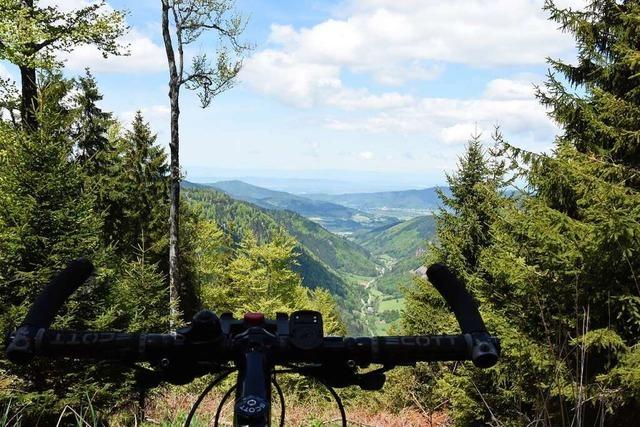In Oberried soll eine neue Mountainbike-Strecke entstehen