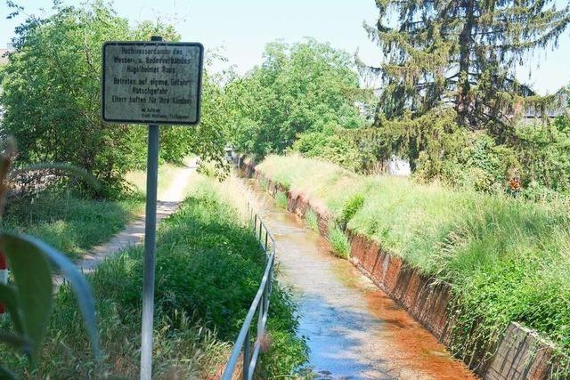 Arbeiten für umfangreiche Hochwasserschutzmaßnahmen in Müllheim gehen an den Start