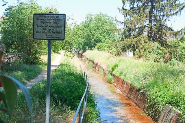 Die Dmme an der Hgelheimer Runs sind sanierungsbedrftig.  | Foto: Martin Pfefferle