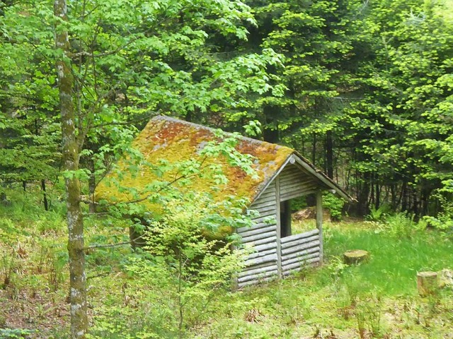 Die Fleischsuppenbrunnenhtte mit moosbedecktem Dach mitten im Wald  | Foto: Heinz Scholz