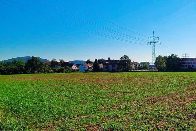 Der Rheinfelder Stadtteil Herten forciert Wohnungsbau und Gewerbeansiedlungen