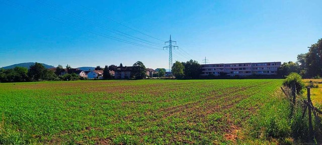 Das knftige Bebauungsgebiet Rmern in Herten  | Foto: Heinz und Monika Vollmar