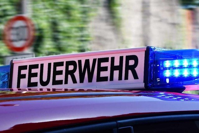 Felssicherungsarbeiten fhrten am Mitt...einem Einsatz der Feuerwehr am Kandel.  | Foto: Rita Eggstein