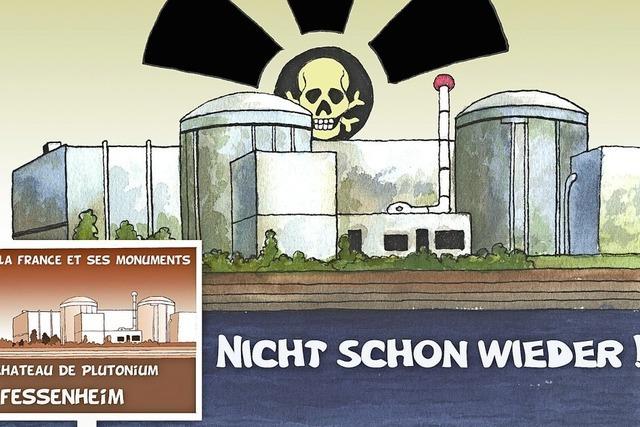Mgliche neue Reaktoren in Fessenheim stoen auf Widerstand