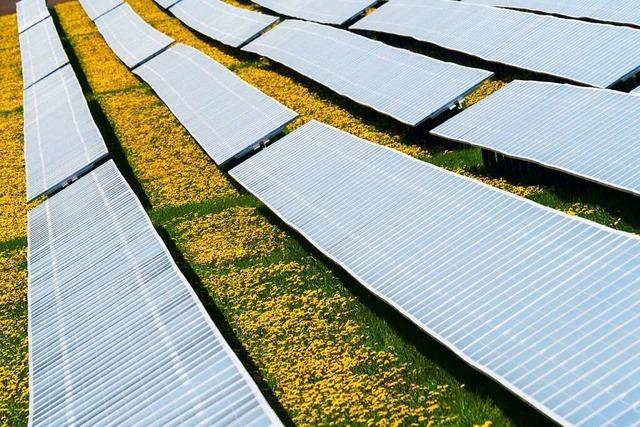 Ortschaftsrat Bachheim wehrt sich gegen einen weiteren Solarpark