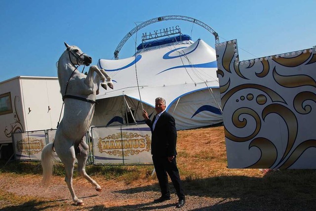 Renaldo Weisheit mit Vollblut-Araber-H...elt des Zirkus Maximus in Emmendingen   | Foto: Michael Saurer