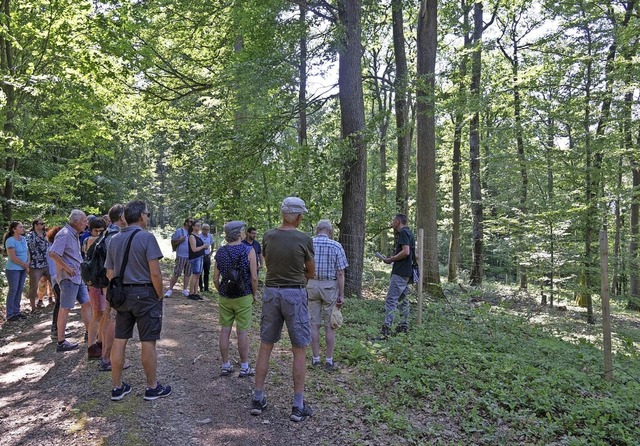 Brger und Stadtrte folgten der Einla...ffentlichen Waldbegehung im Eichwald.   | Foto: Volker Mnch