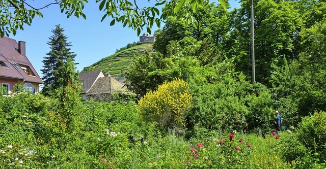 Der Garten an der Frickstrae  ist ein Kleinod.   | Foto: Gabriele Hennicke