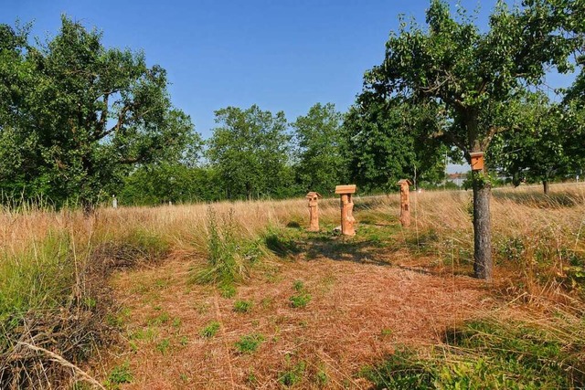 Bienenhotels, Totholzhecken und Nisthi...e im Ohr wurde vielfltig aufgewertet.  | Foto: Ulrich Senf