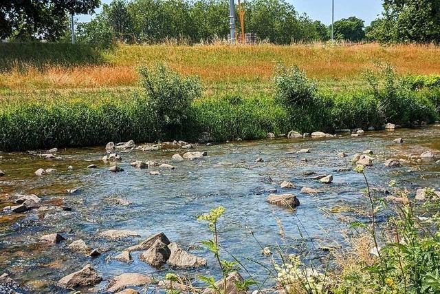 Niedrigwasser: Landkreis Emmendingen verbietet Wasserentnahme aus ffentlichen Gewssern