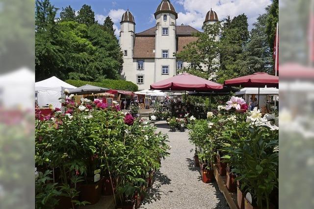 Gartenlust im Schlosspark von Bad Sckingen
