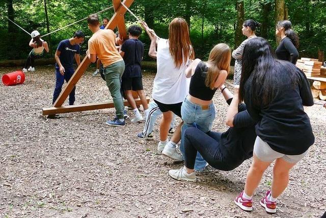 Im Bad Sckinger Kletterwald lernen die Schler mit Rckenwind