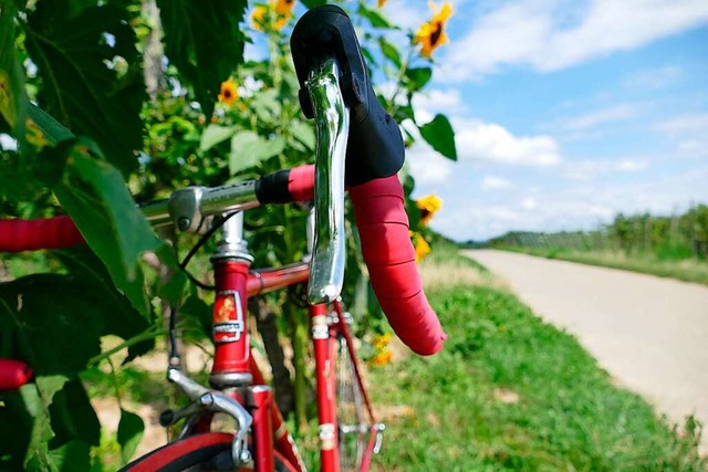 Kilometer sammeln kann man bei Touren durch die Weinberge der Region.  | Foto: Louis Gro