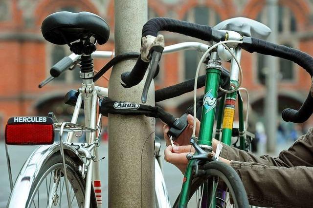 In Schwanau-Wittenweier soll es Kunstprojekt mit alten Fahrrdern geben