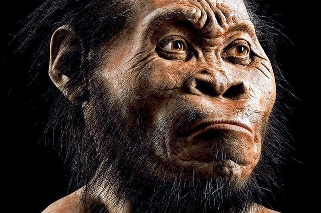 Die Rekonstruktion des Kopfes eines Homo naledi  | Foto: Mark Thiessen