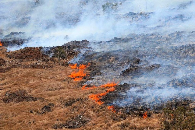 Auf einer Flche von etwa 120 Quadratm... trockenes Gras gebrannt (Symbolbild).  | Foto: - (dpa)