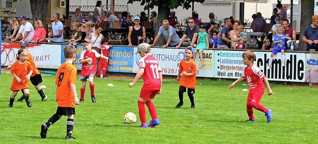 Angefeuert von Eltern und Geschwistern...Mrkt-Eimeldingen hinter dem Ball her.  | Foto: Reinhard Cremer