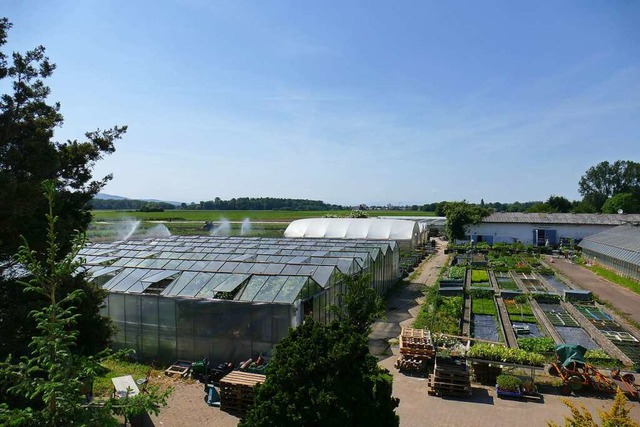 Luftbild der Bio-Grtnerei Witt in Emmendingen/Teningen mit Gewchshaus  | Foto: Philipp Peters