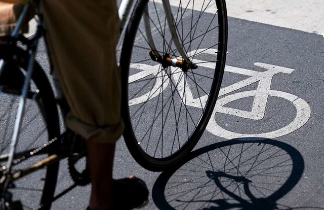 Der Radfahrer war auf dem Radweg entlang der Wiese unterwegs (Symbolbild).  | Foto: Sven Hoppe (dpa)