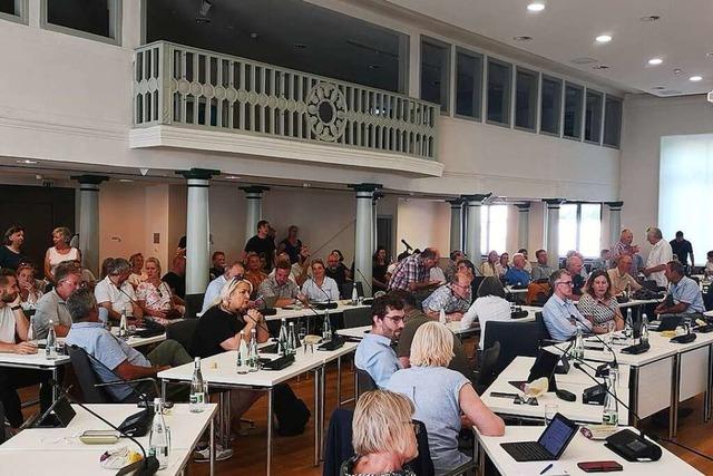 Offenburgs Oberbrgermeister bittet Aktivisten um Differenziertheit in der Baumdebatte