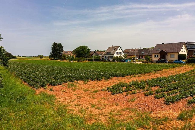 Das Ackerland an der Nimburger Strae ...ll ein Haus fr Flchtlinge entstehen.  | Foto: Hubert Gemmert