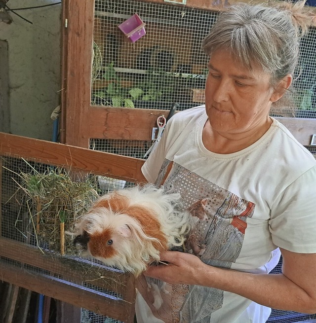 Meerschweinchen-Mama: Ihre Langhaarmee... mag Doris  Rindlisbacher am liebsten.  | Foto:  Sebastian Ridder