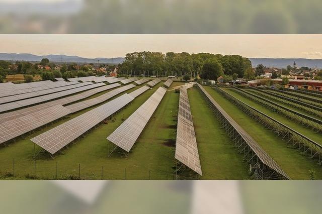 Solarpark in Kappel wird erweitert