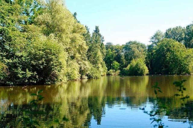 Basel stellt den Entenweiher im Landschaftspark Wiese unter Schutz