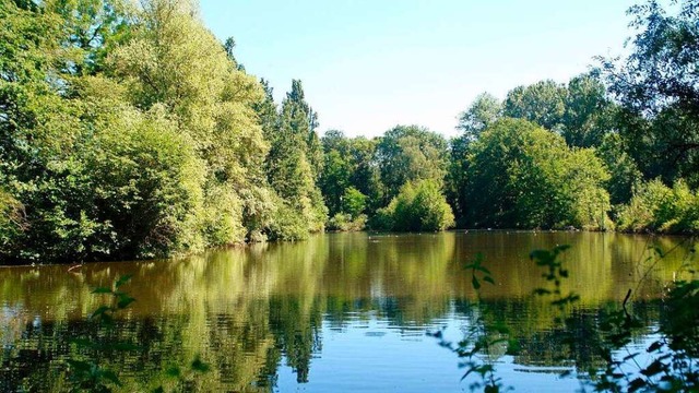 Wichtiges Brutgebiet fr viele Vogelarten: der Entenweiher in den Langen Erlen  | Foto: Kanton Basel-Stadt