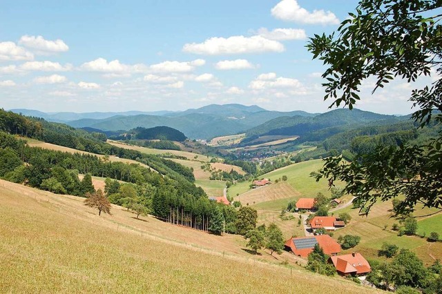 Auch Schwarzwald-Gemeinden wie Welsche... Linienbusse besser angebunden werden.  | Foto: hr