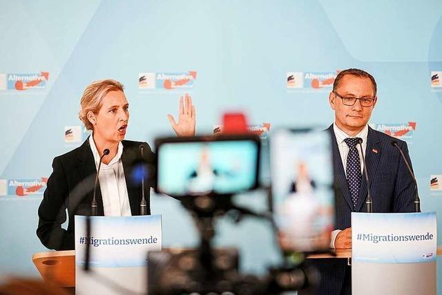 AfD will Kanzlerkandidaten fr Bundestagswahl 2025 aufstellen