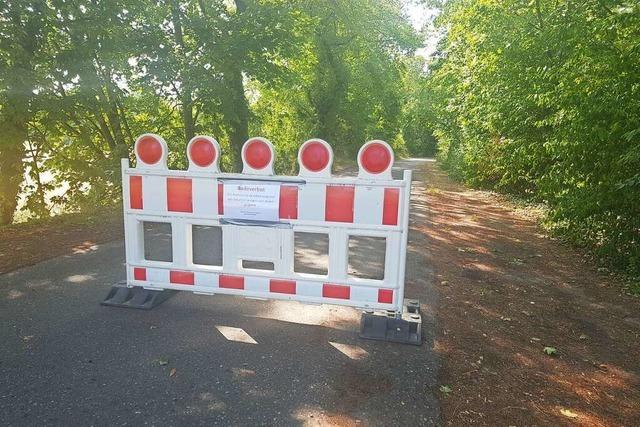 Schwimmen im Birkenwaldsee in Rheinhausen wieder erlaubt