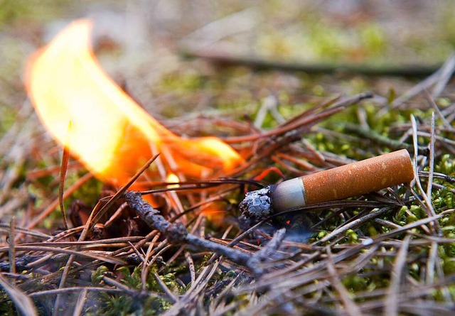 Weggeworfene Kippen knnen Waldbrnde ... im Wald ist im Sommer daher verboten.  | Foto: Patrick Pleul