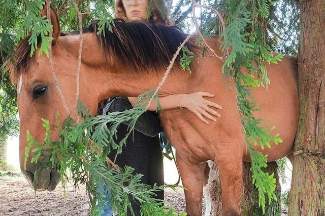 Pferd bleibt bei Schwrstadt in Baum stecken – Feuerwehr rettet es