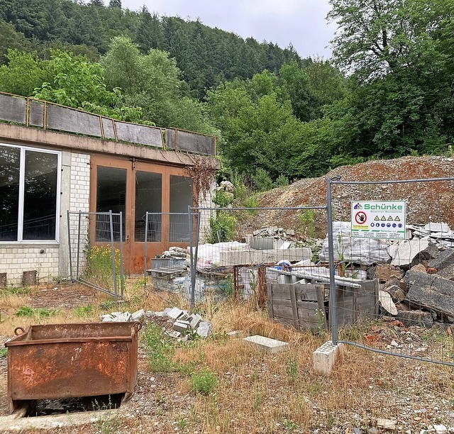 Auf diesen beiden Grundstcken an der ...e Mehrfamilienhuser gebaut werden.     | Foto: Annemarie Rsch